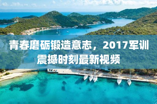青春磨礪鍛造意志，2017軍訓(xùn)震撼時(shí)刻最新視頻