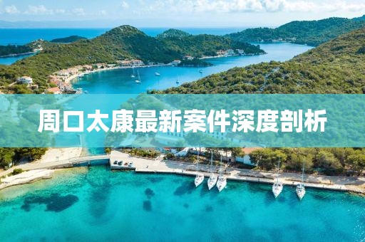 周口太康最新案件深度剖析