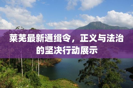 萊蕪最新通緝令，正義與法治的堅(jiān)決行動(dòng)展示