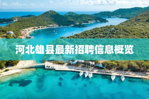 河北雄縣最新招聘信息概覽