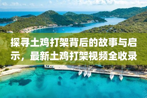探尋土雞打架背后的故事與啟示，最新土雞打架視頻全收錄