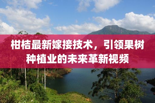 柑桔最新嫁接技術(shù)，引領(lǐng)果樹種植業(yè)的未來革新視頻