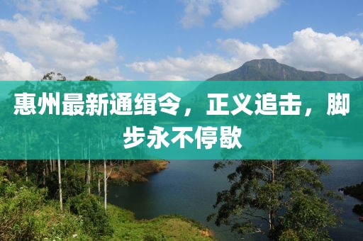 惠州最新通緝令，正義追擊，腳步永不停歇