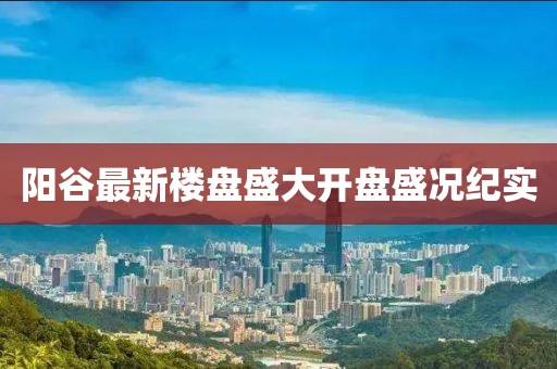 陽谷最新樓盤盛大開盤盛況紀(jì)實(shí)