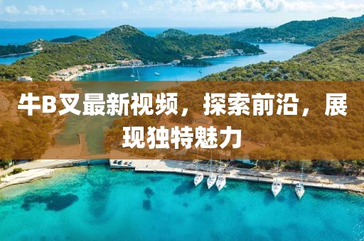 牛B叉最新視頻，探索前沿，展現(xiàn)獨特魅力