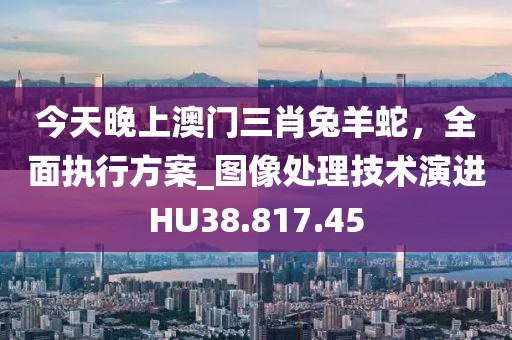今天晚上澳門三肖兔羊蛇，全面執(zhí)行方案_圖像處理技術(shù)演進(jìn)HU38.817.45