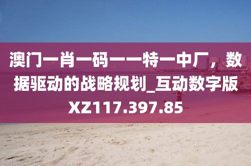 澳門一肖一碼一一特一中廠，數(shù)據(jù)驅(qū)動的戰(zhàn)略規(guī)劃_互動數(shù)字版XZ117.397.85