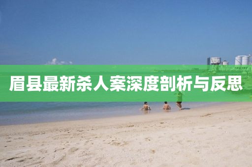 眉縣最新殺人案深度剖析與反思