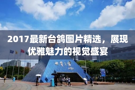 2017最新臺(tái)鴿圖片精選，展現(xiàn)優(yōu)雅魅力的視覺(jué)盛宴