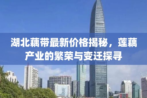 湖北藕帶最新價格揭秘，蓮藕產(chǎn)業(yè)的繁榮與變遷探尋