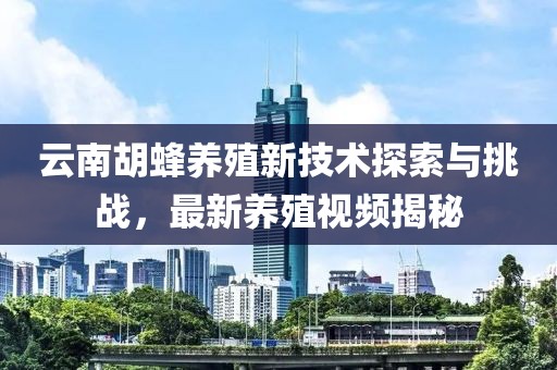 云南胡蜂養(yǎng)殖新技術(shù)探索與挑戰(zhàn)，最新養(yǎng)殖視頻揭秘
