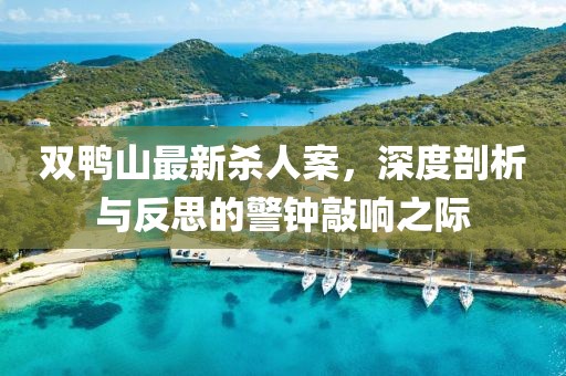 雙鴨山最新殺人案，深度剖析與反思的警鐘敲響之際
