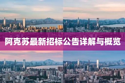 阿克蘇最新招標公告詳解與概覽