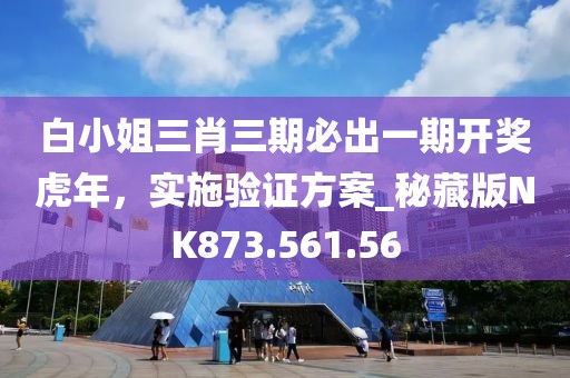 白小姐三肖三期必出一期開獎虎年，實(shí)施驗(yàn)證方案_秘藏版NK873.561.56