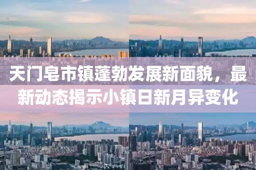 天門皂市鎮(zhèn)蓬勃發(fā)展新面貌，最新動態(tài)揭示小鎮(zhèn)日新月異變化