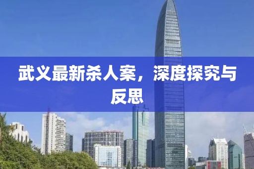武義最新殺人案，深度探究與反思