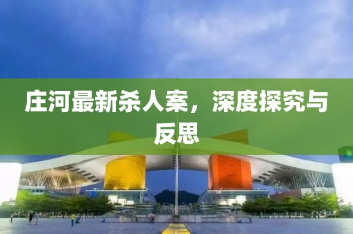 莊河最新殺人案，深度探究與反思