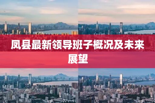 鳳縣最新領導班子概況及未來展望