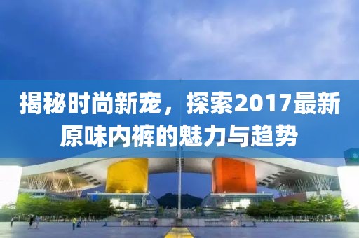 揭秘時尚新寵，探索2017最新原味內褲的魅力與趨勢