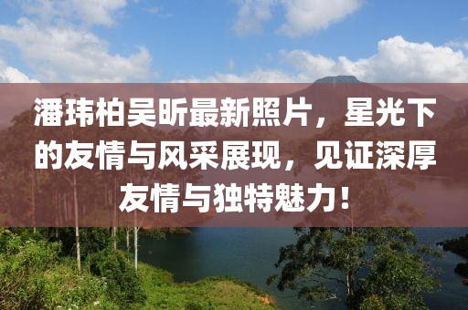 潘瑋柏吳昕最新照片，星光下的友情與風(fēng)采展現(xiàn)，見證深厚友情與獨特魅力！