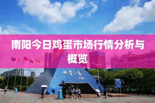 南陽今日雞蛋市場行情分析與概覽