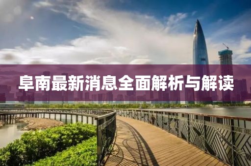阜南最新消息全面解析與解讀