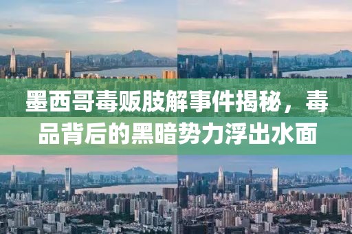 墨西哥毒販肢解事件揭秘，毒品背后的黑暗勢(shì)力浮出水面