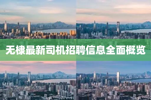 無棣最新司機(jī)招聘信息全面概覽