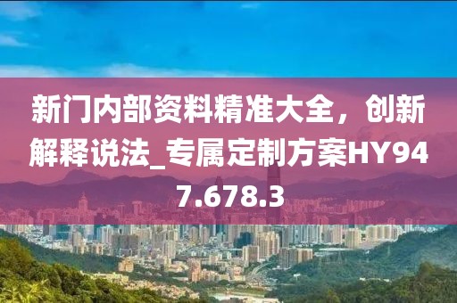 新門內(nèi)部資料精準(zhǔn)大全，創(chuàng)新解釋說法_專屬定制方案HY947.678.3