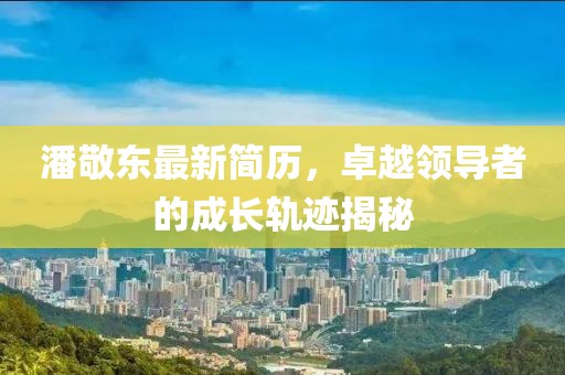潘敬東最新簡歷，卓越領(lǐng)導(dǎo)者的成長軌跡揭秘