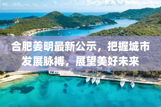 合肥姜明最新公示，把握城市發(fā)展脈搏，展望美好未來