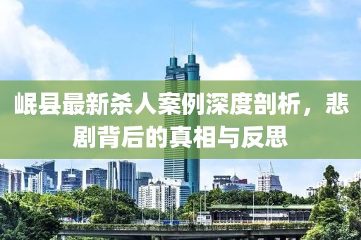 岷縣最新殺人案例深度剖析，悲劇背后的真相與反思