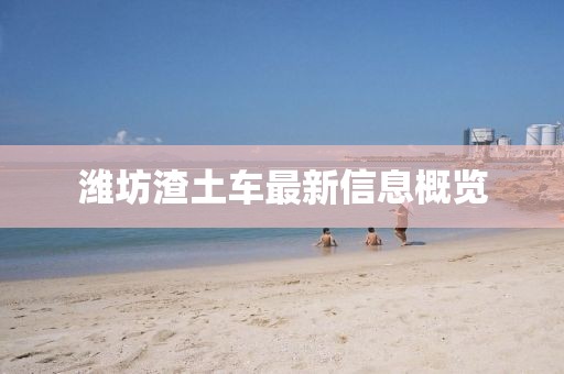 濰坊渣土車(chē)最新信息概覽