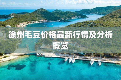徐州毛豆價(jià)格最新行情及分析概覽