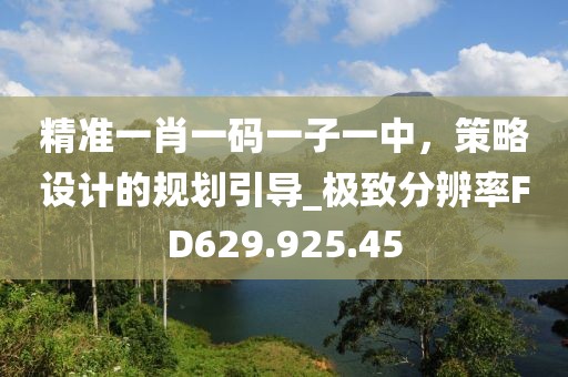 精準(zhǔn)一肖一碼一子一中，策略設(shè)計(jì)的規(guī)劃引導(dǎo)_極致分辨率FD629.925.45