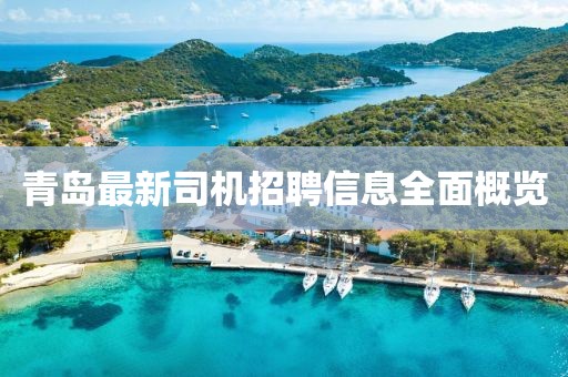 青島最新司機招聘信息全面概覽