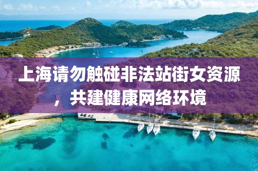 上海請勿觸碰非法站街女資源，共建健康網(wǎng)絡環(huán)境