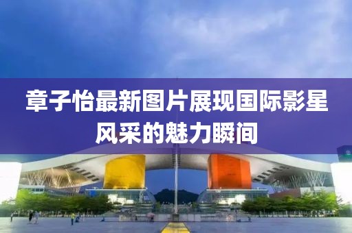 章子怡最新圖片展現(xiàn)國際影星風采的魅力瞬間