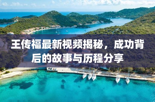 王傳福最新視頻揭秘，成功背后的故事與歷程分享