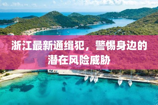 浙江最新通緝犯，警惕身邊的潛在風(fēng)險(xiǎn)威脅
