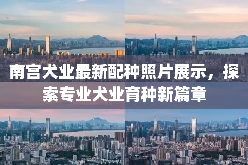 天長企業(yè)最新招聘啟事，攜手人才，共創(chuàng)輝煌未來