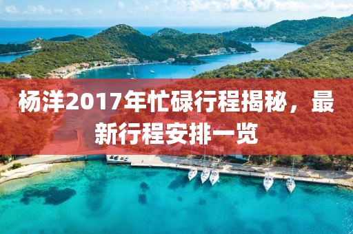 楊洋2017年忙碌行程揭秘，最新行程安排一覽