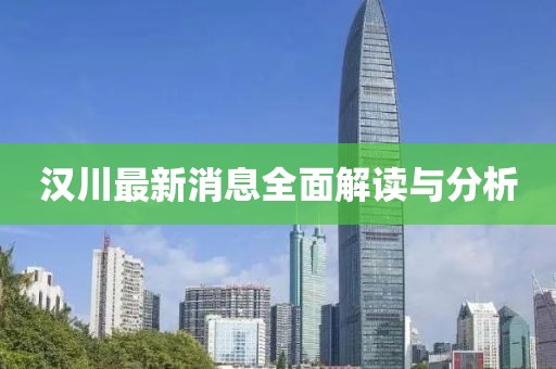 漢川最新消息全面解讀與分析