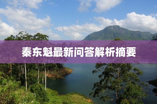 秦東魁最新問答解析摘要