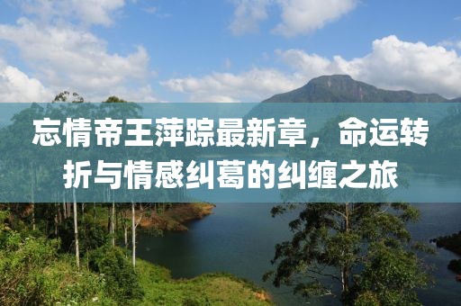 忘情帝王萍蹤最新章，命運轉(zhuǎn)折與情感糾葛的糾纏之旅