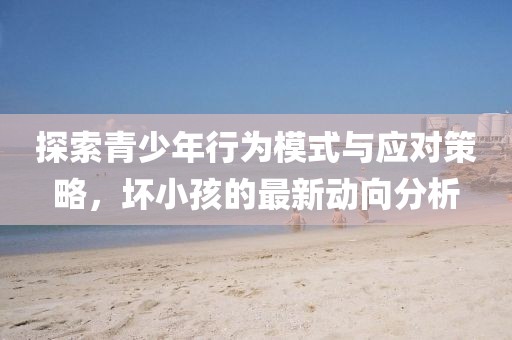 舒城最新消息全面解析與解讀
