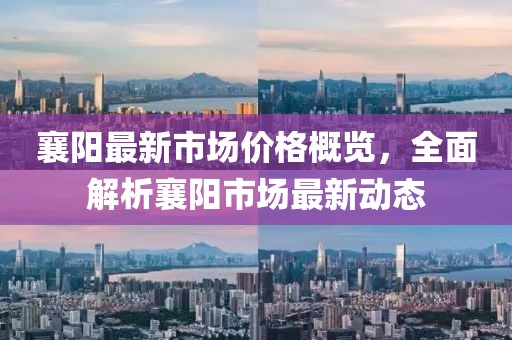 魯驢懟大巴最新事件，意外沖突引發(fā)公眾關(guān)注