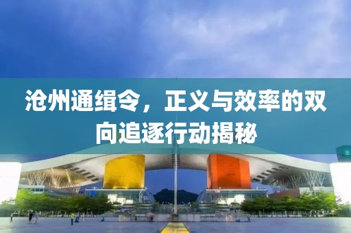 滄州通緝令，正義與效率的雙向追逐行動(dòng)揭秘