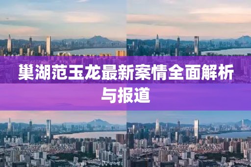 巢湖范玉龍最新案情全面解析與報道