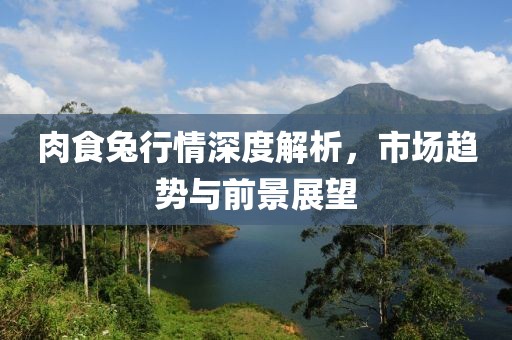 香港最新申請子女政策解讀與概覽